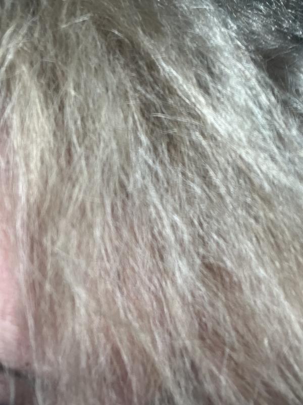 Beoordeling foto 1.