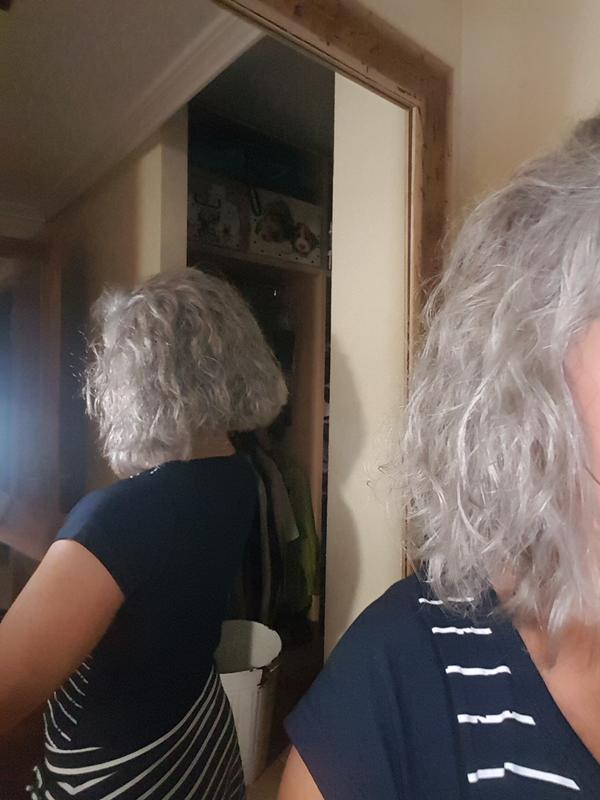 Probando Loreal Silver