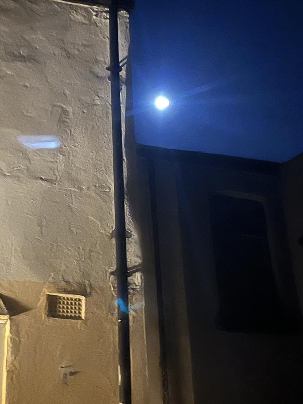 User generated review image 2