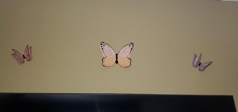 Review Thumbnail Image 0 331887278