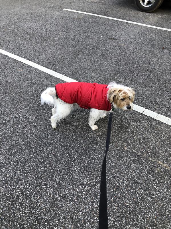 Dog Puffer Vest Lands End