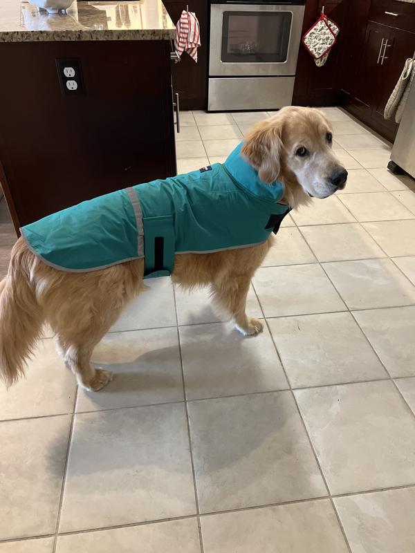 Lands end dog raincoat sale