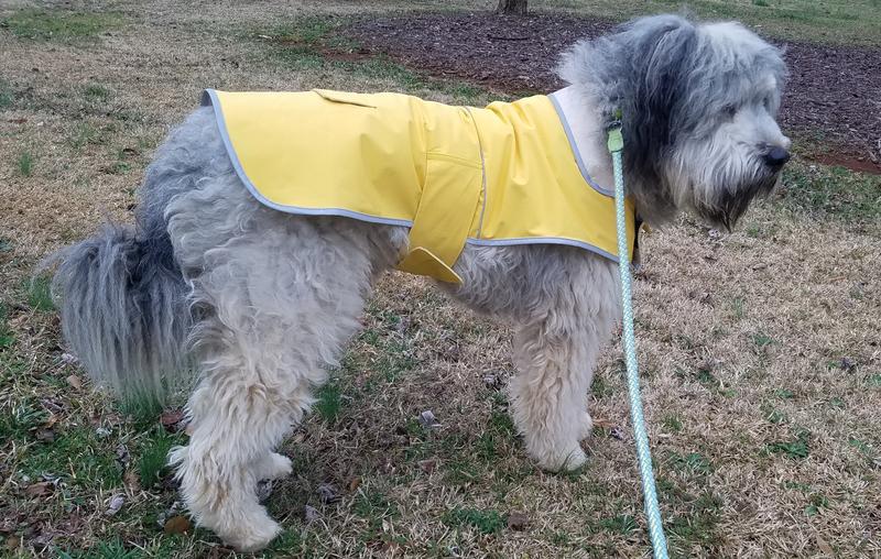 Lands end outlet dog raincoat