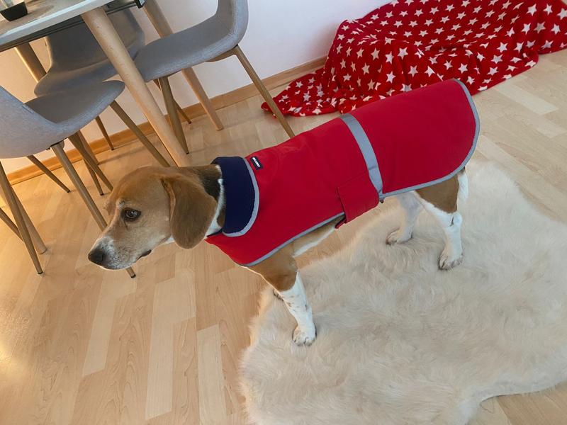 Lands end dog coat on sale sizing