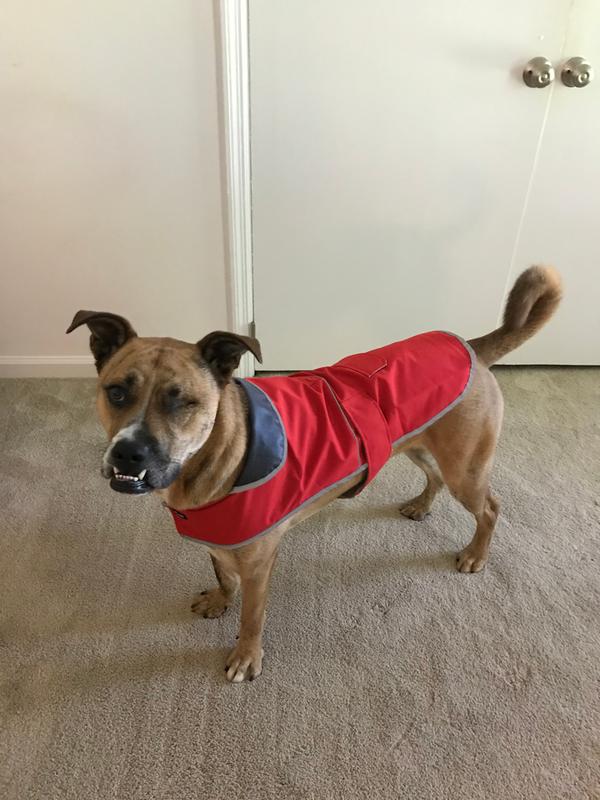 Dog Raincoat Jacket | Lands' End