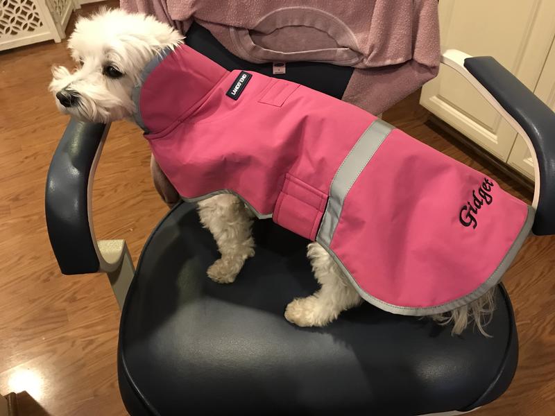 Lands end outlet dog puffer vest