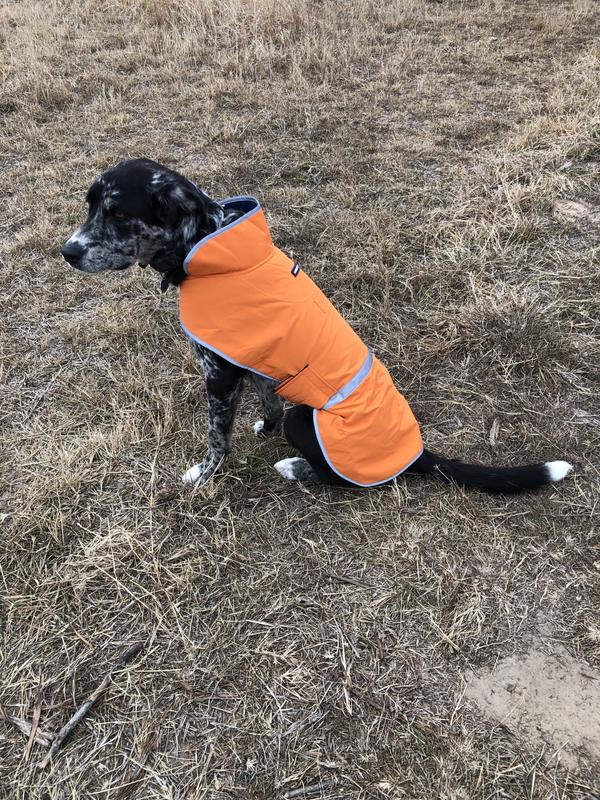 Dog squall clearance jacket