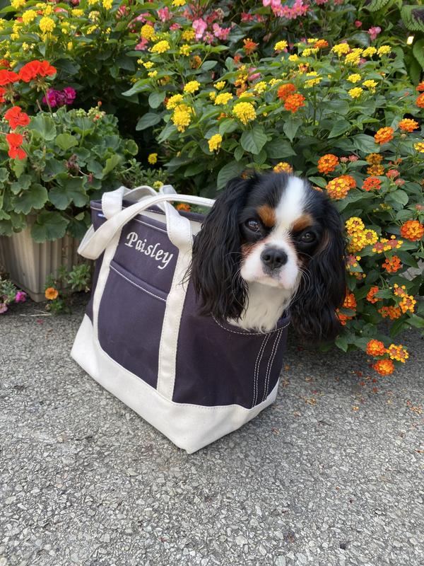 Lands end shop pet tote