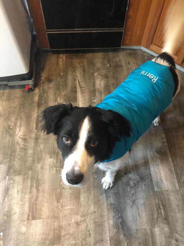 lands end dog puffer vest