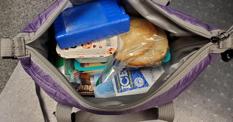  LANDICI Lunch Bag for Women Men Insulated Lunch Box