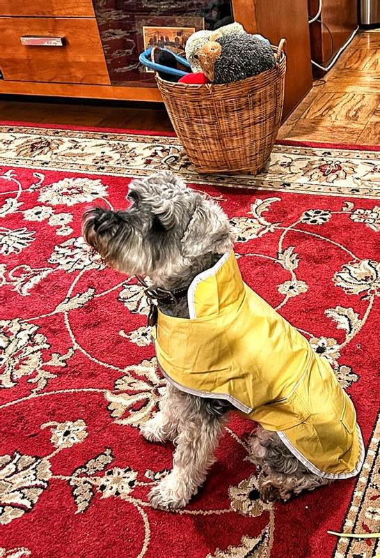 Dog Rain Jacket Lands End