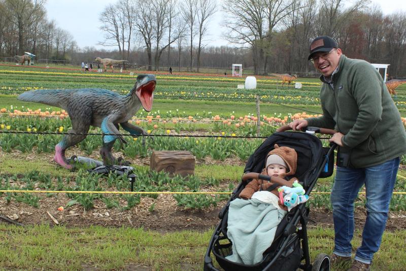 Review Thumbnail Image 1 346661779