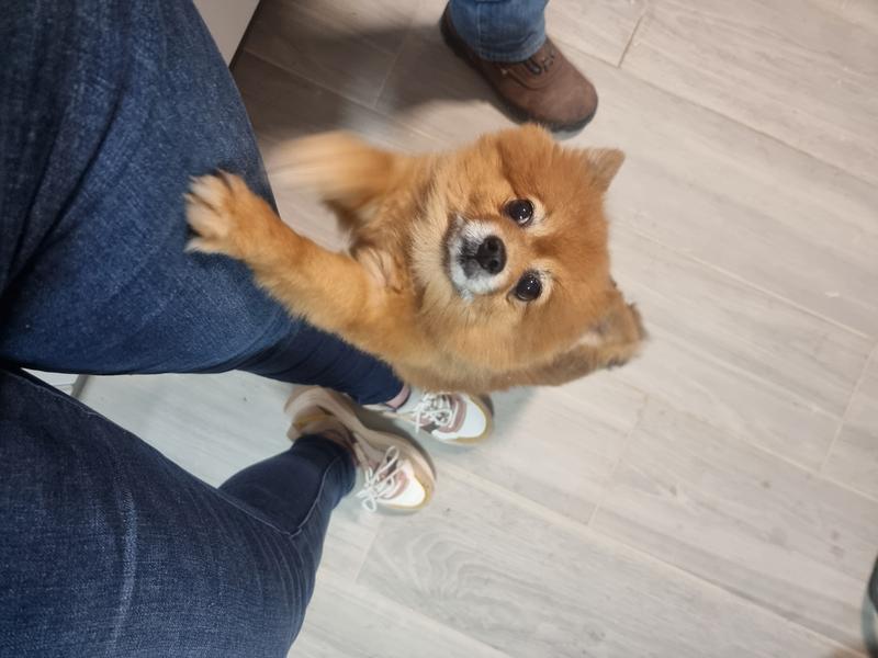 Hasta a Nuka le encantan!