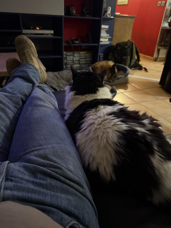 Foto 3 de la reseña.