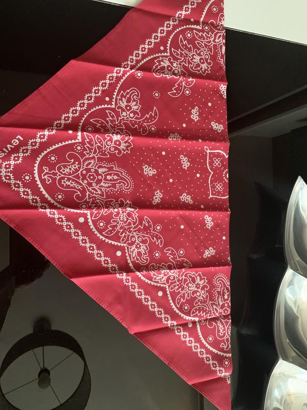 Foto 4 della recensione.