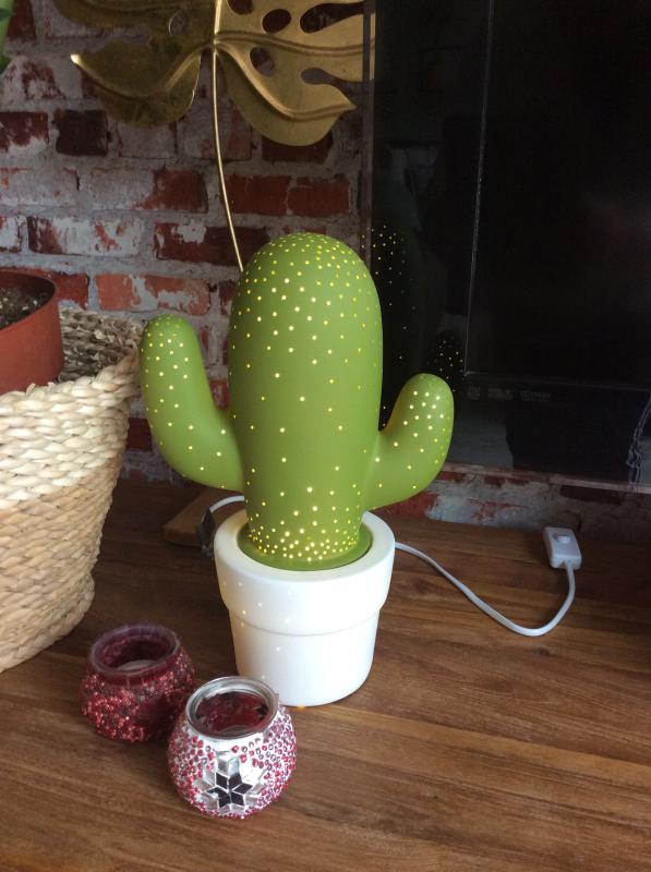 Lucide Cactus - groen Ø20 cm | Leen Bakker
