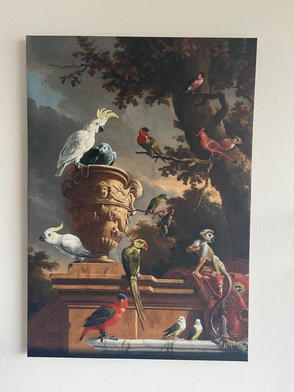 opzettelijk kathedraal oase Art for the Home - Canvas - De Menagerie - 70x100 cm | Leen Bakker