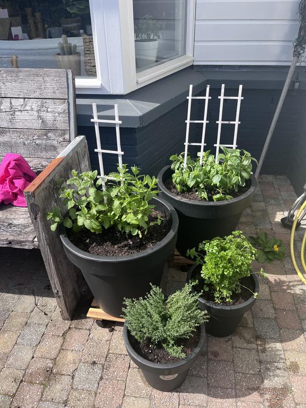 Colourliving Bloempot Inzetstuk - Flexibele Waterdichte Plantenpot 34x34/21cm