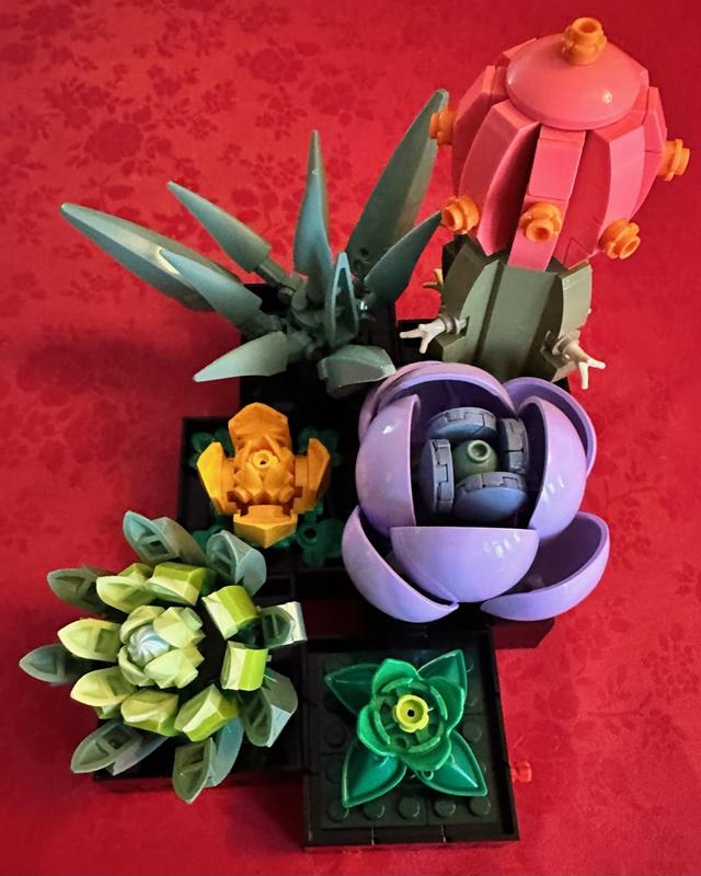 User generated review image 3