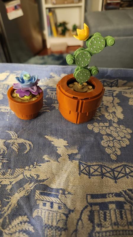 User generated review image 3