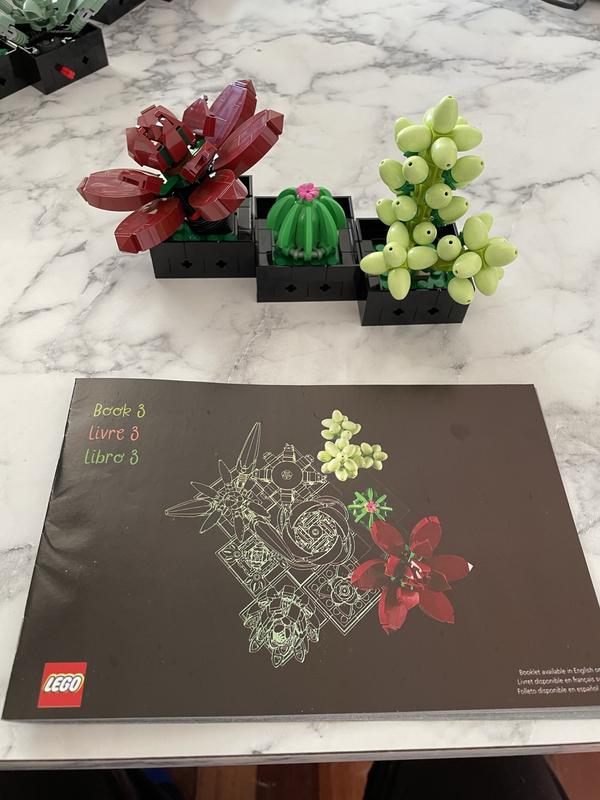 User generated review image 3