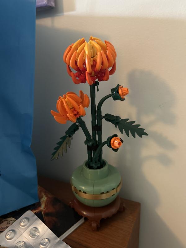 Review Thumbnail Image 0 1204949851