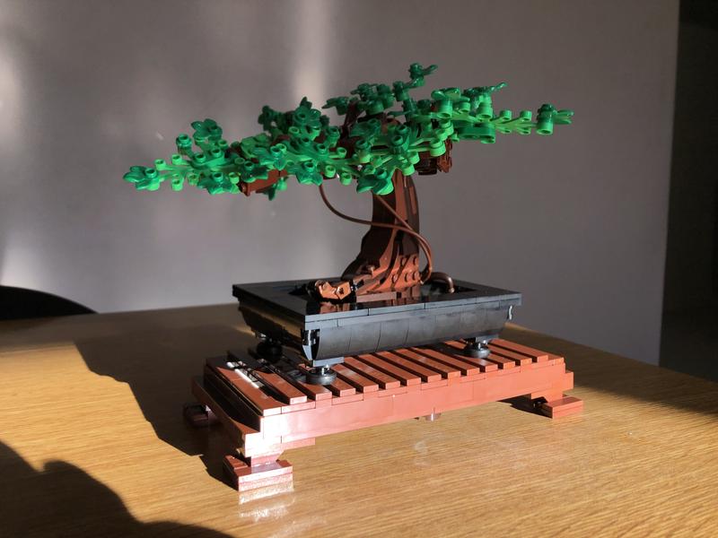 LEGO Bonsai Tree 10281 MYER