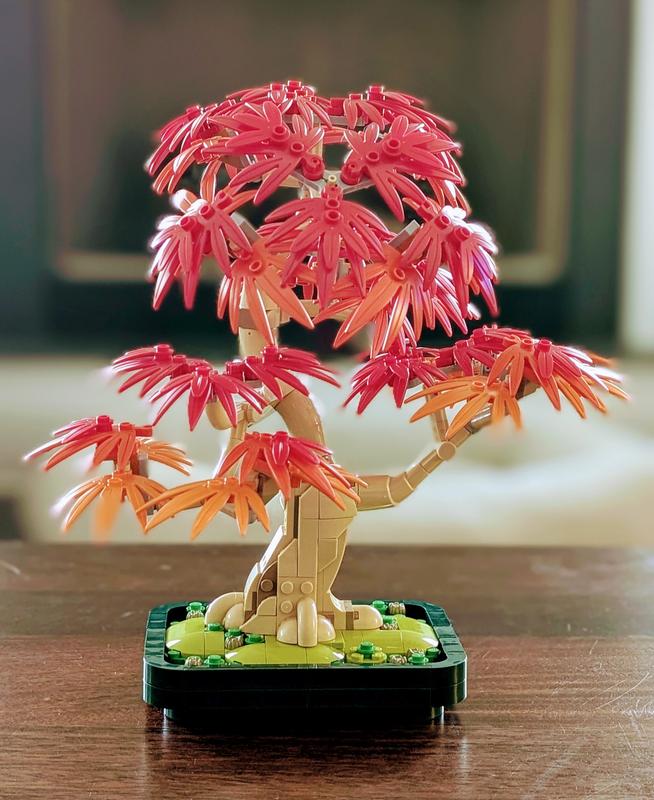 User generated review image 1