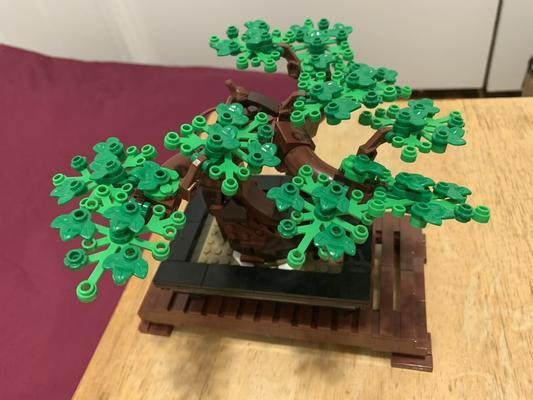 LEGO Bonsai Tree 10281 MYER