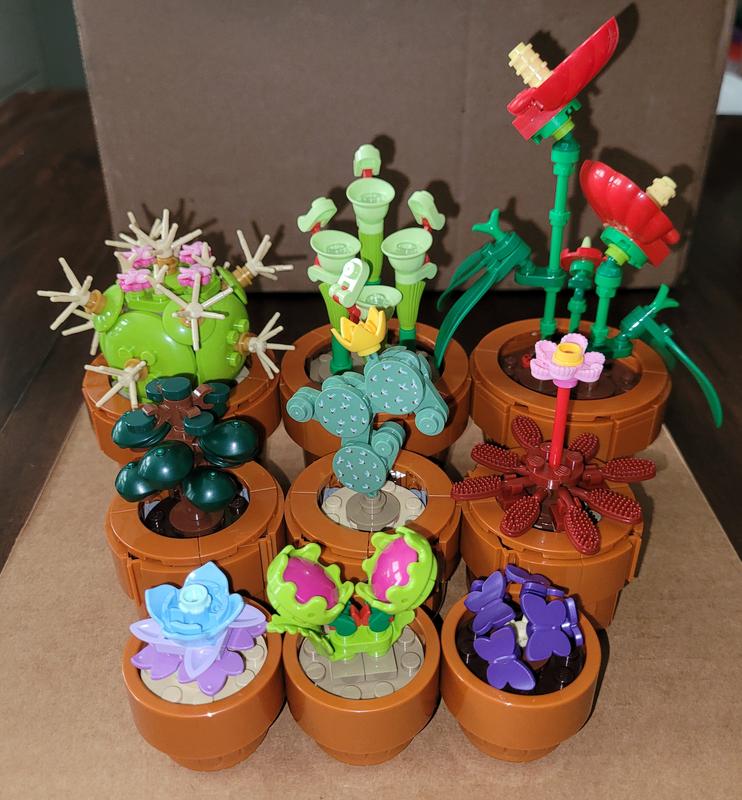 User generated review image 2