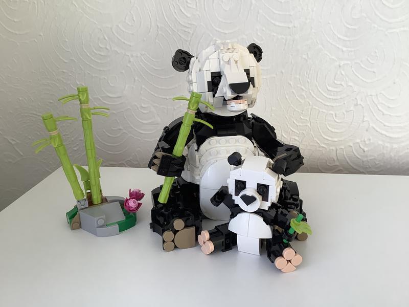 User generated review image 3