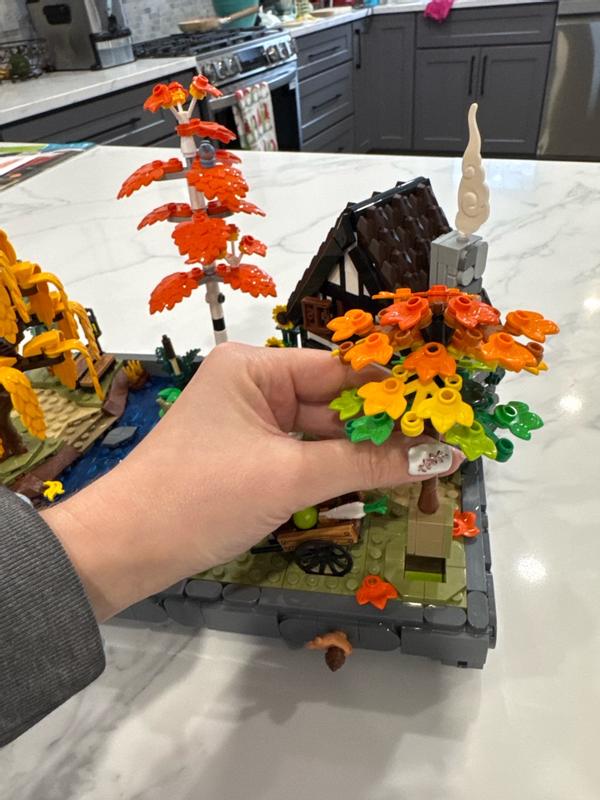 User generated review image 3