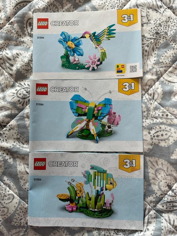 User generated review image 3