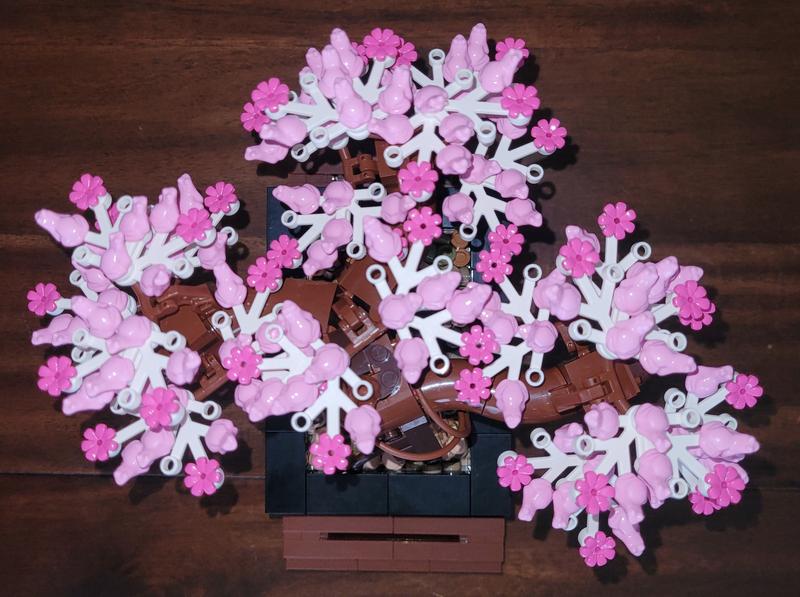 User generated review image 2