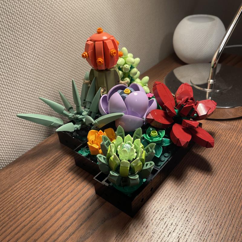 User generated review image 2