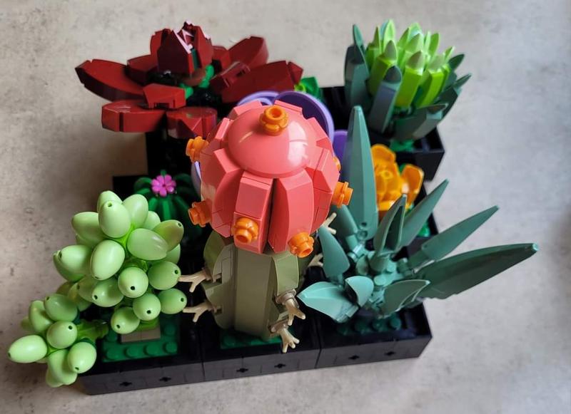 User generated review image 2