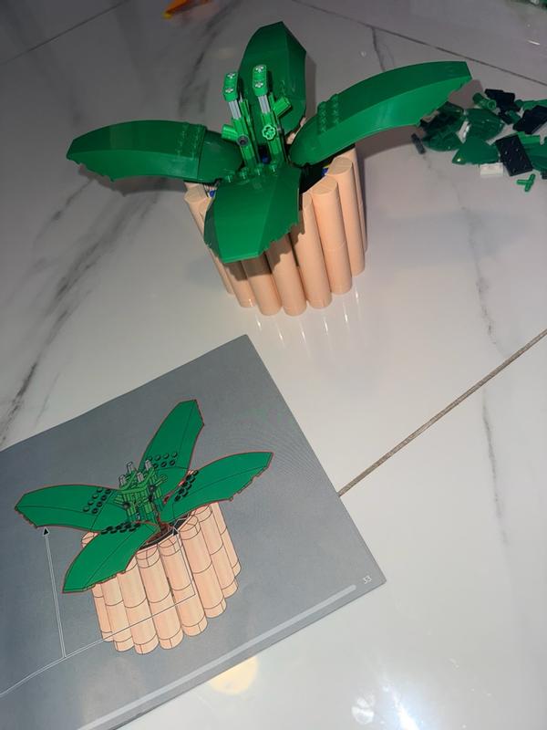 User generated review image 2