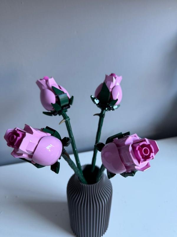 User generated review image 3