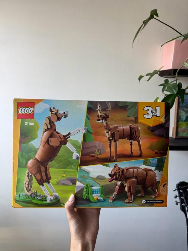 User generated review image 3