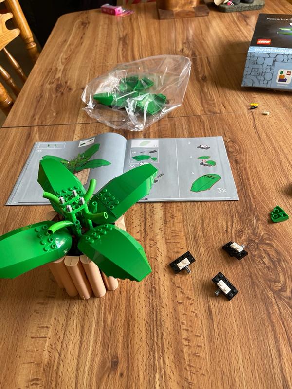 User generated review image 2