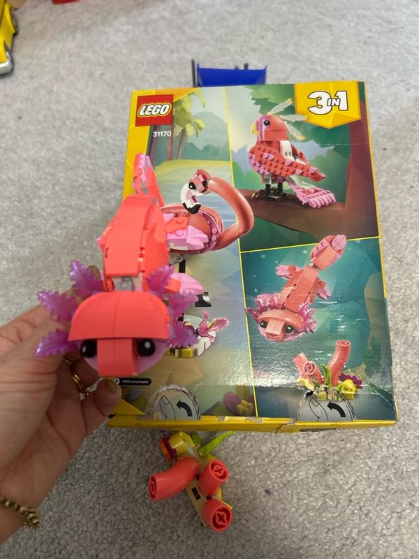 Review Thumbnail Image 0 1198610209