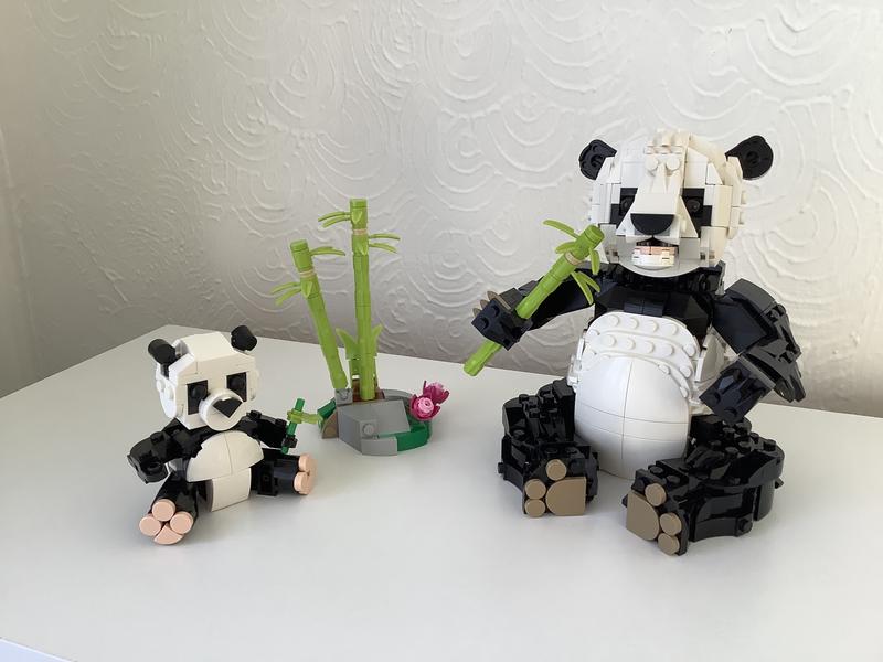 User generated review image 1