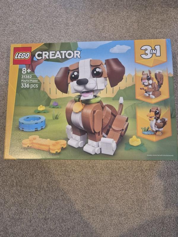 User generated review image 2