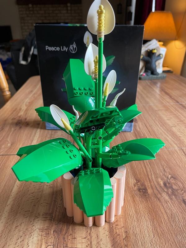 User generated review image 1