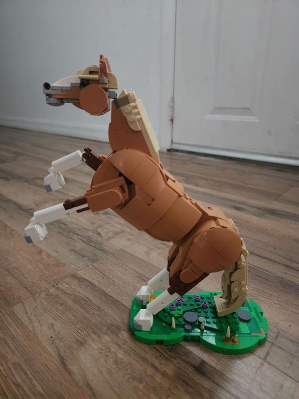 User generated review image 2