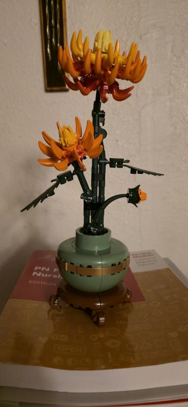 Review Thumbnail Image 0 1201139634