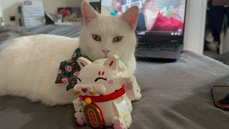 User generated review image 1