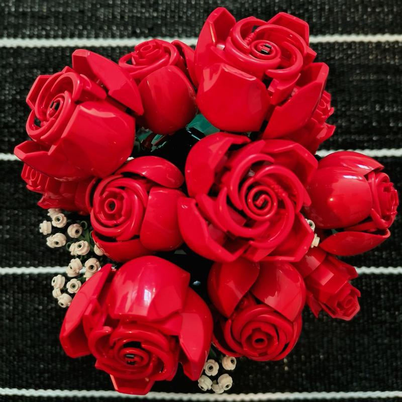 User generated review image 3