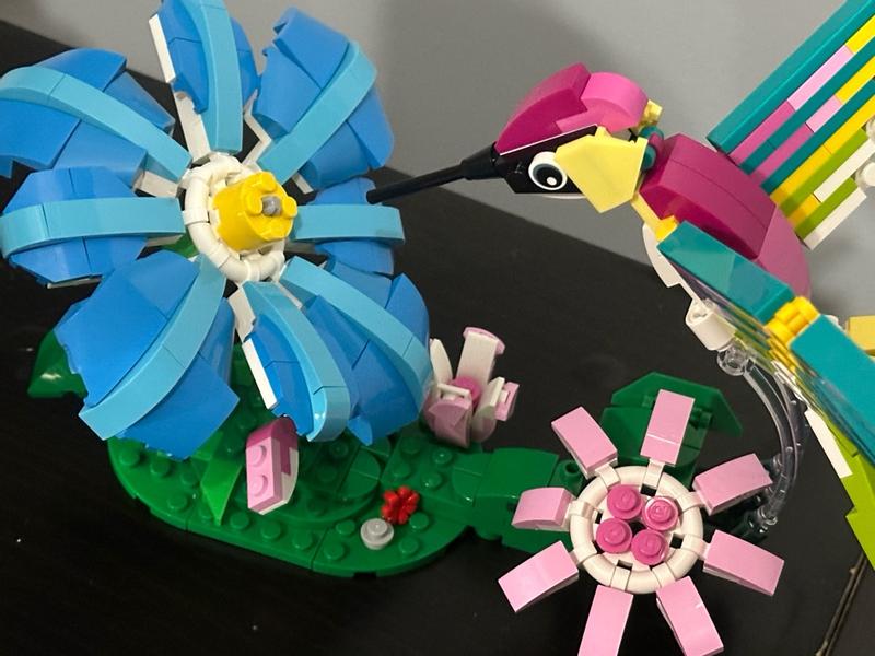 User generated review image 2