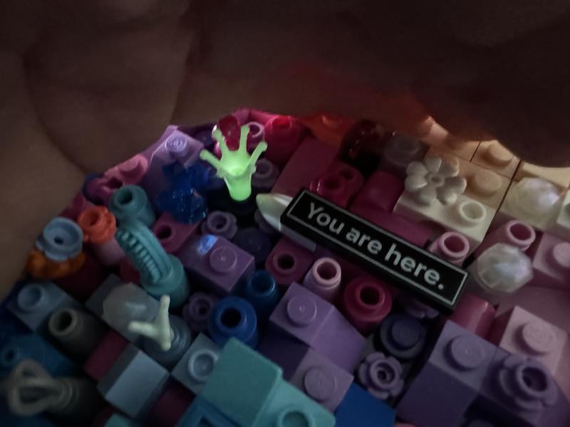 User generated review image 2